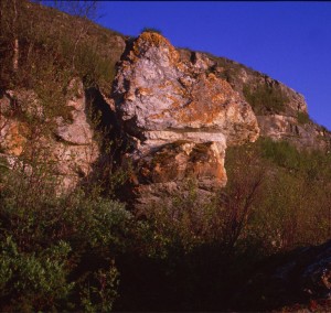 Alta001-0150seidekjærringa