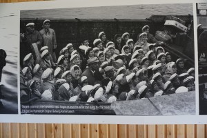 Berlevåg havnemuseum 9