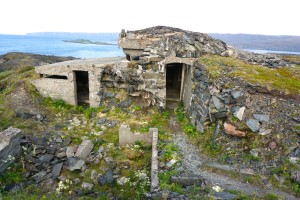 Berlevåg kongsfjord 2