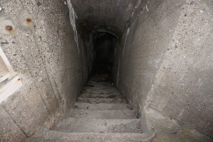 Berlevåg kongsfjord 3