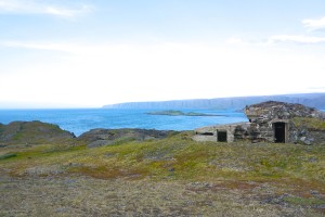 Berlevåg kongsfjord 5