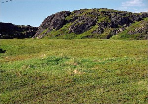 Hasvik001-0052tufter