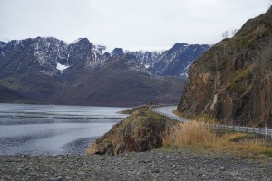 Loppa øksfjordjøkulen 1