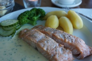 Måsøy arctic view laks 1