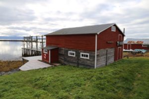 vadso-bietaelega%cc%8arden02