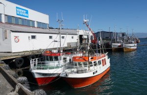 Berlevåg havn 7 fiskebåter