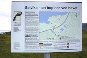 Måsøy Selvika 5