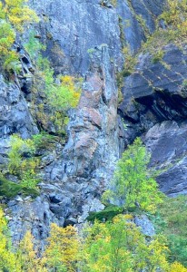 Loppa kjærringa K 1