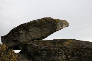 Nesseby Bjørnestein 016