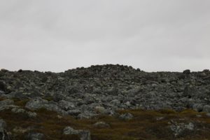 vardo-gravroyser-012