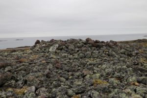 vardo-gravroyser-013