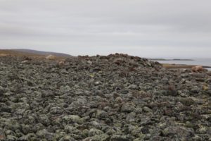 vardo-gravroyser-015