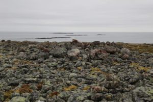 vardo-gravroyser-016