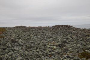 vardo-gravroyser-017