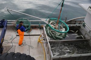 ma%cc%8asoy-fiskeri01