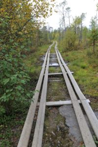 Kirkenes trerisksrøysa5