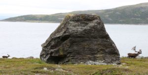 Porsanger Bringnes 2 1