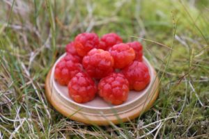 ma%cc%8asoy-molta-21