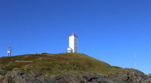 ma%cc%8asoy-fruholmen0121