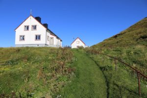 ma%cc%8asoy-fruholmen1203