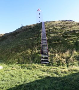 ma%cc%8asoy-fruholmen1204