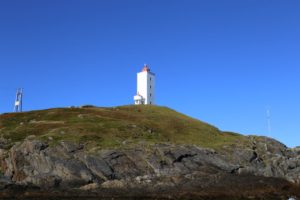 ma%cc%8asoy-fruholmen1218