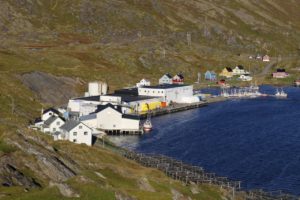 ma%cc%8asoy-tufjord-103