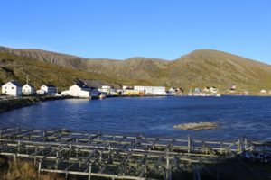 ma%cc%8asoy-tufjord-108