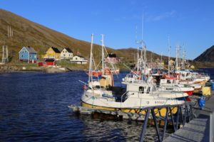 ma%cc%8asoy-tufjord-12