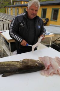 ma%cc%8asoy-tufjord-41