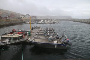 nordkyn-kjollefjord003